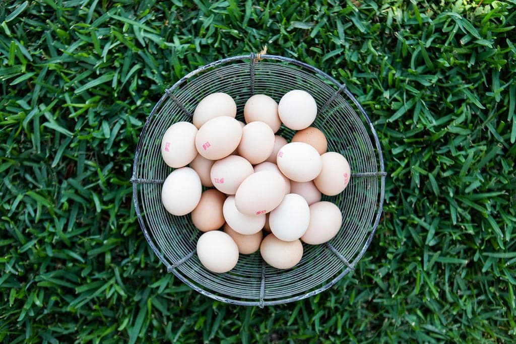 Certified Organic Organigrow Eggs Pasture Raised